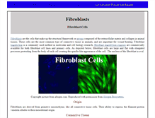 Tablet Screenshot of fibroblast.org
